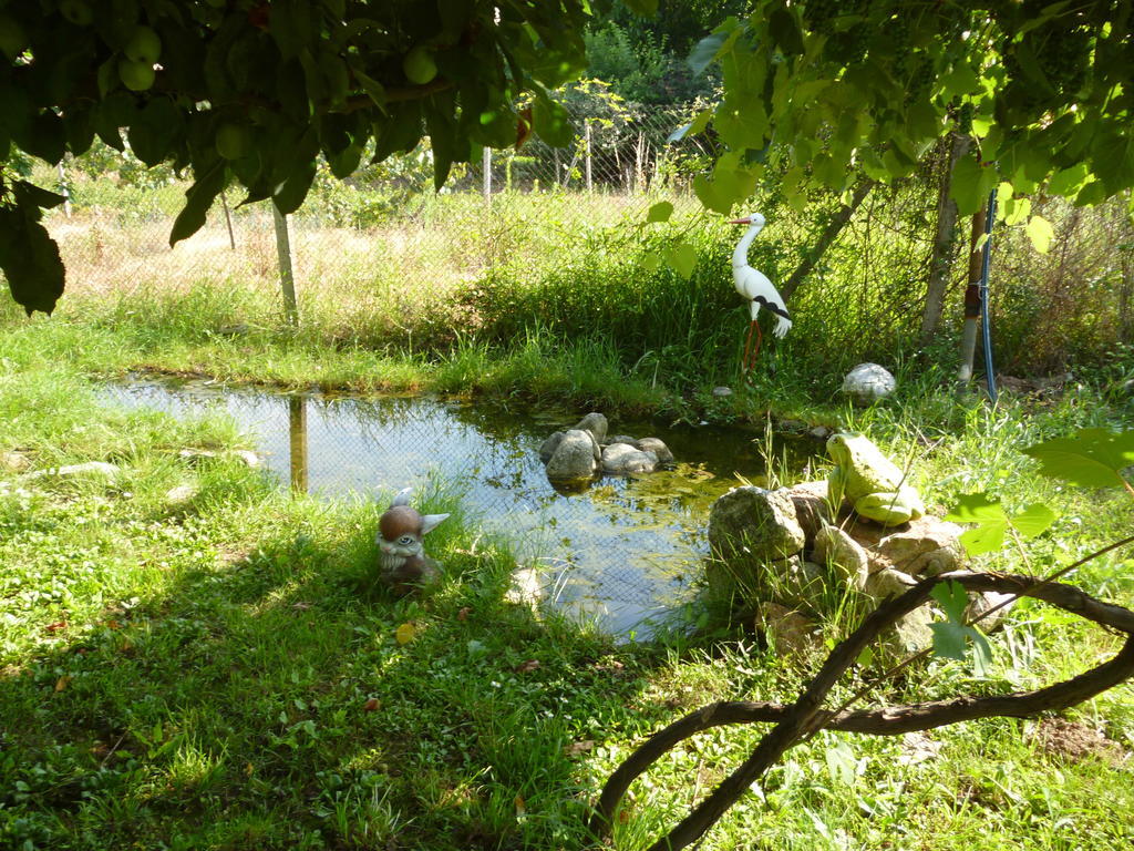 Villa Jun Guest House Belogradçik Dış mekan fotoğraf