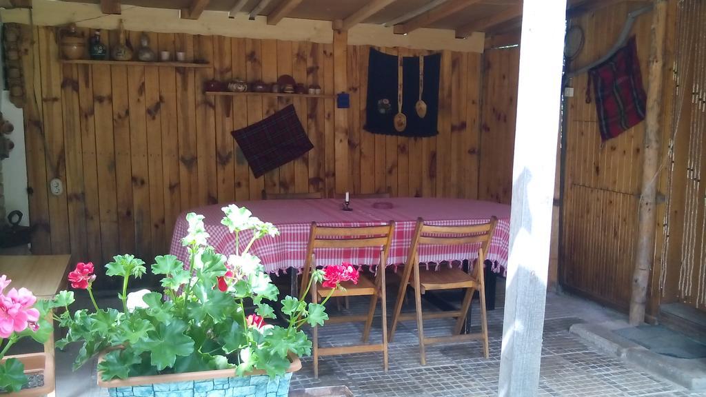 Villa Jun Guest House Belogradçik Dış mekan fotoğraf